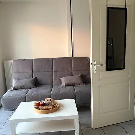 Proche Republique Et Drapeau * דיז'ון