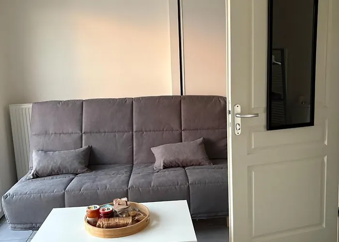 Proche Republique Et Drapeau * דיז'ון